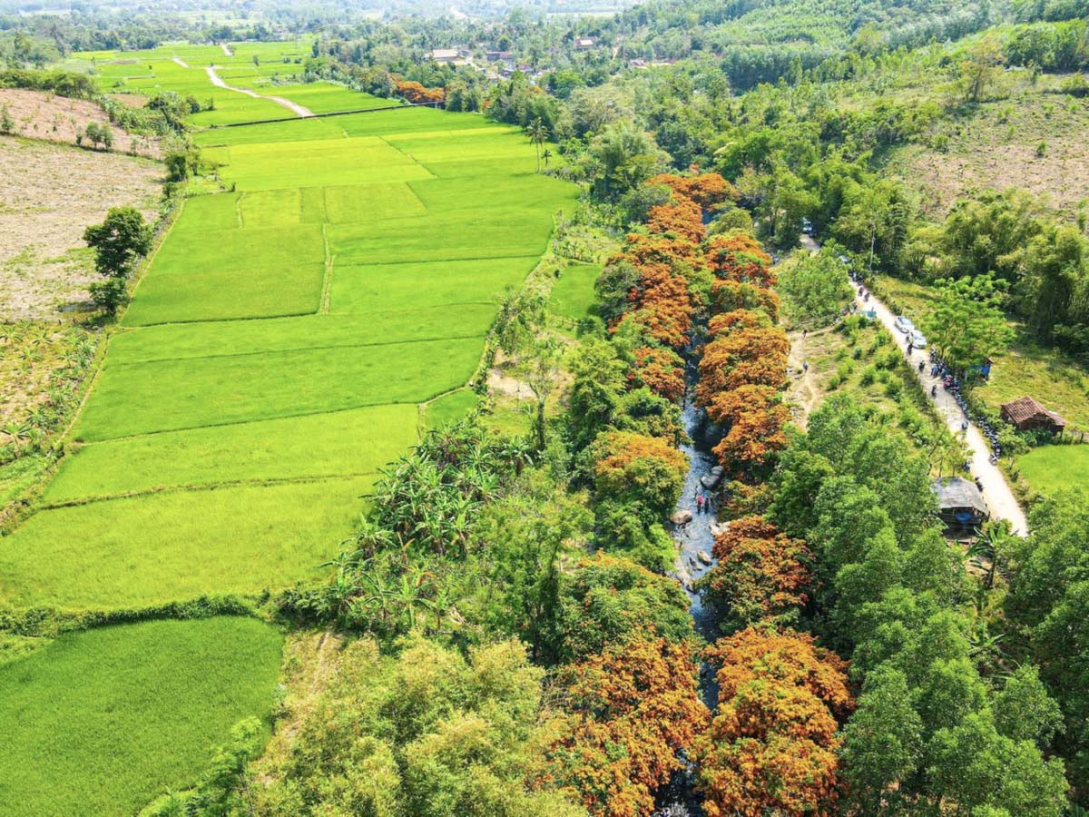 tour-quy-nhon-suoi-ta-ma-1-ngay-dulichquynhon-11